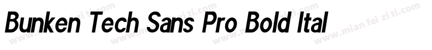 Bunken Tech Sans Pro Bold Italic字体转换